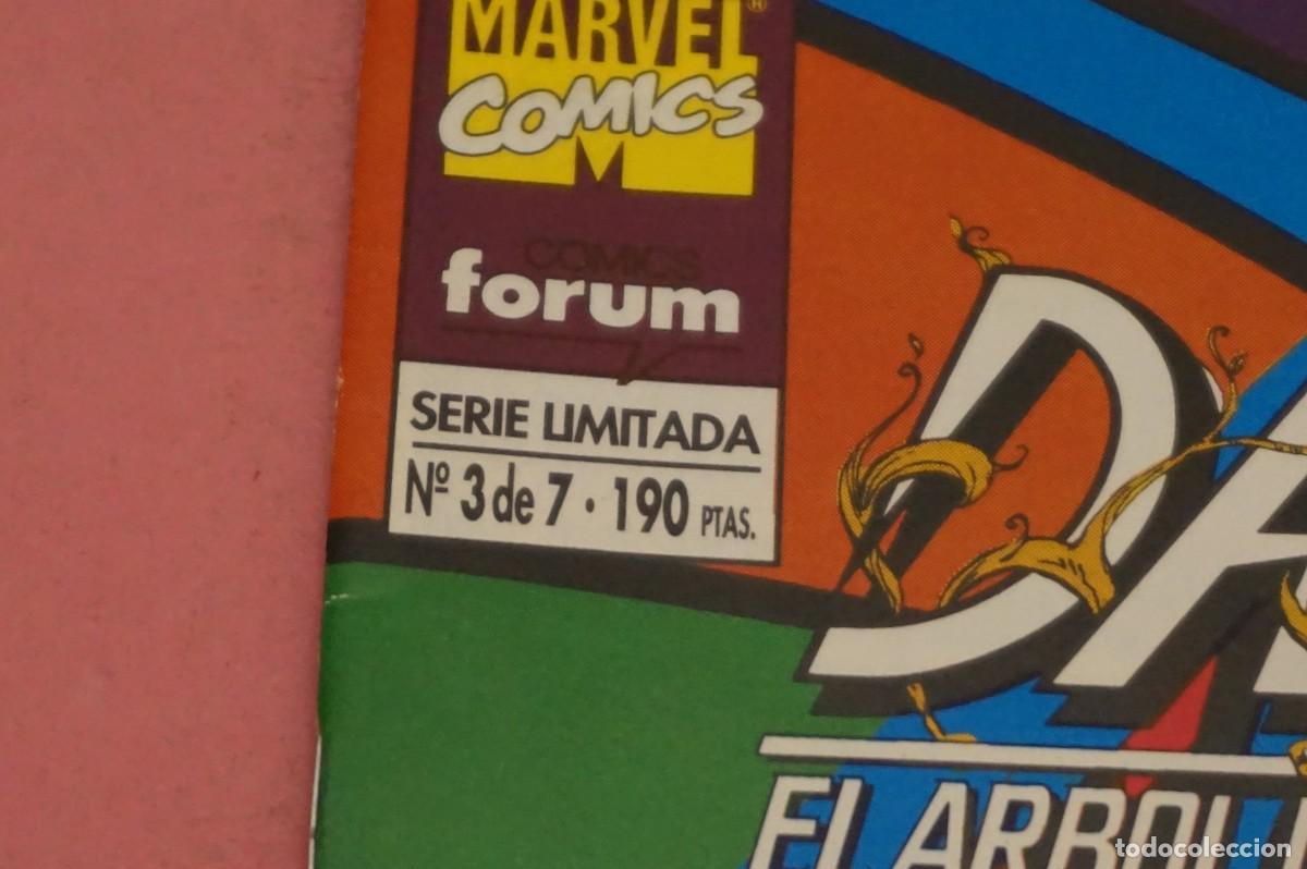 C&oacute;mics: AL/ MARVEL COMICS - COMICS FORUM N&ordm; 3 DE 7 - DAREDEVIL - EL ARBOL DEL CONOCIMIENTO - INTERLUDIO - Foto 2