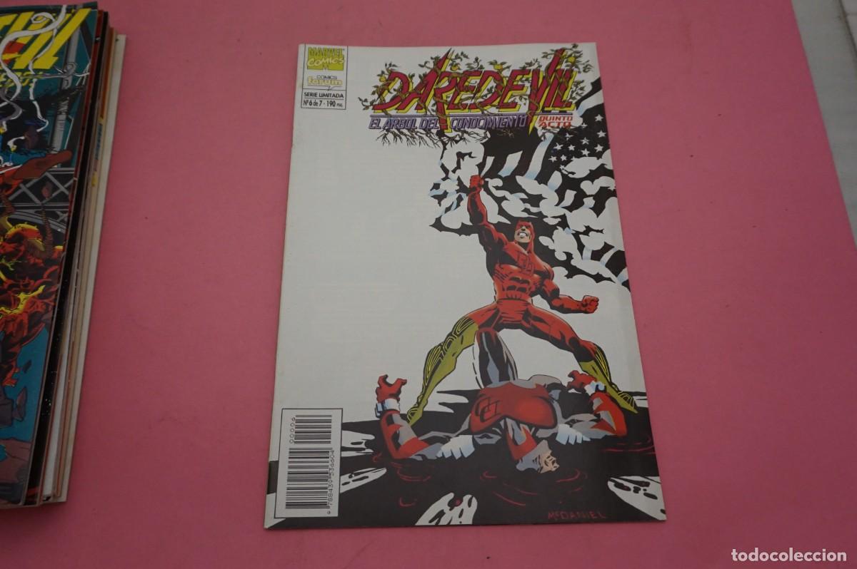 C&oacute;mics: AL/ MARVEL COMICS - COMICS FORUM N&ordm; 6 DE 7 - DAREDEVIL - EL ARBOL DEL CONOCIMIENTO - QUINTO ACTO - Foto 1