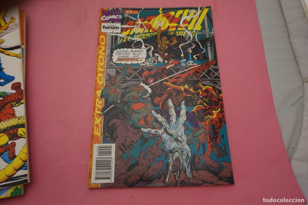 Comics : AL/ MARVEL COMICS - COMICS FORUM - DAREDEVIL - &iexcl;EL HOMBRE SIN MIEDO!