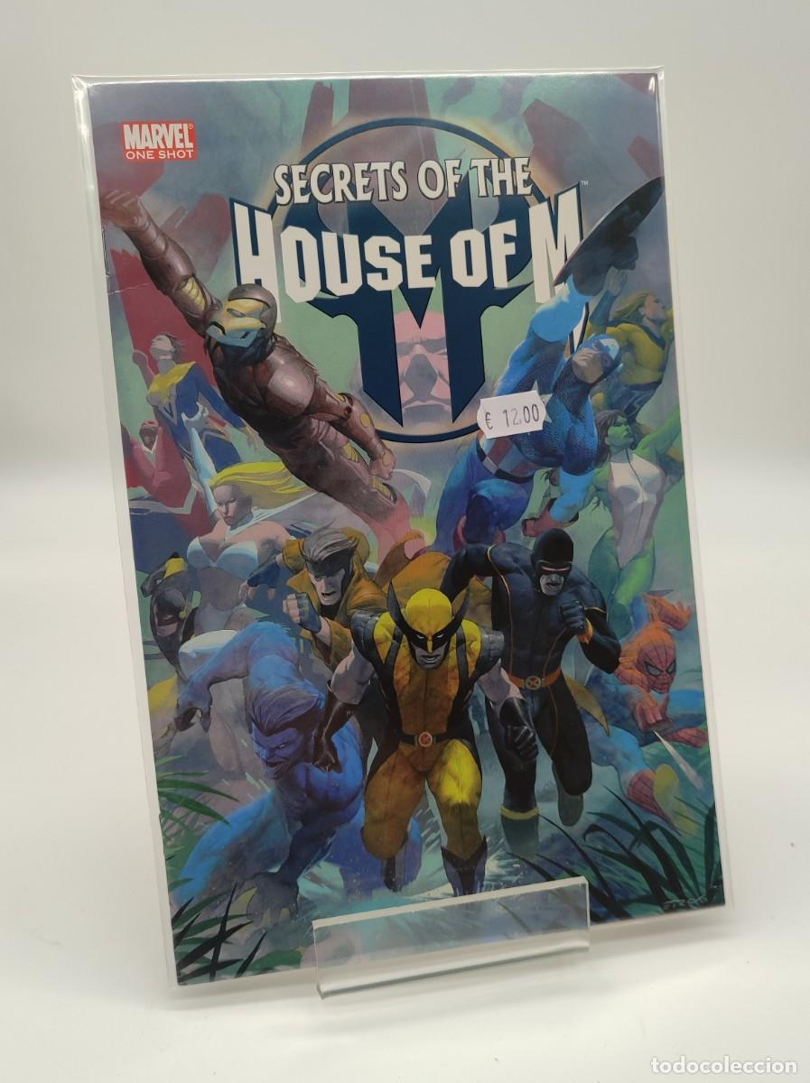 C&oacute;mics: Comic: secrets of the house of M One shot (EN INGLES)