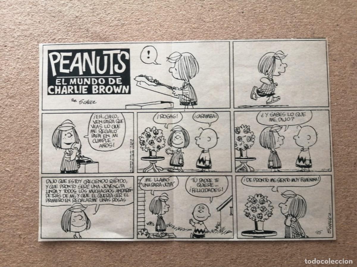 C&oacute;mics: TIRA COMIC. CHARLIE BROWN