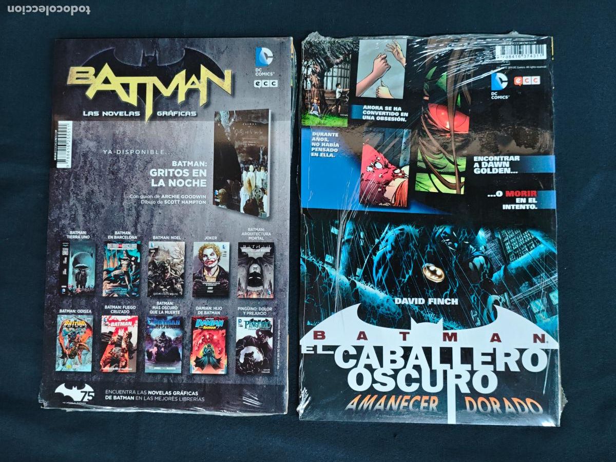 C&oacute;mics: COLECCION COMPLETA - BATMAN Y ROBIN - 12 TOMOS - ECC - LEER DESCRIPCION - Foto 15