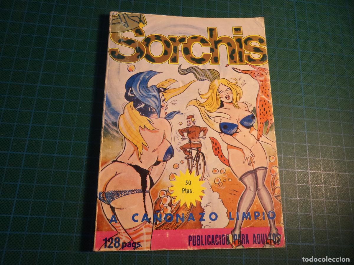 C&oacute;mics: Sorchis. N&ordm; 8. Elviberia