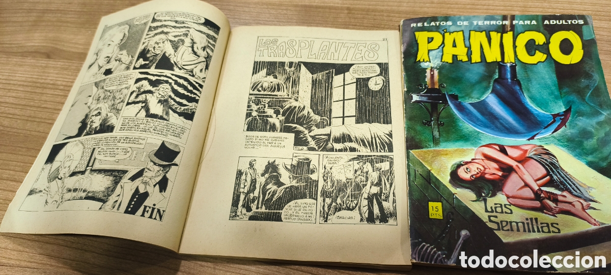 C&oacute;mics: C&oacute;mic p&aacute;nico revista terror - Foto 3