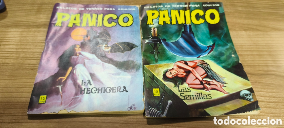 C&oacute;mics: C&oacute;mic p&aacute;nico revista terror