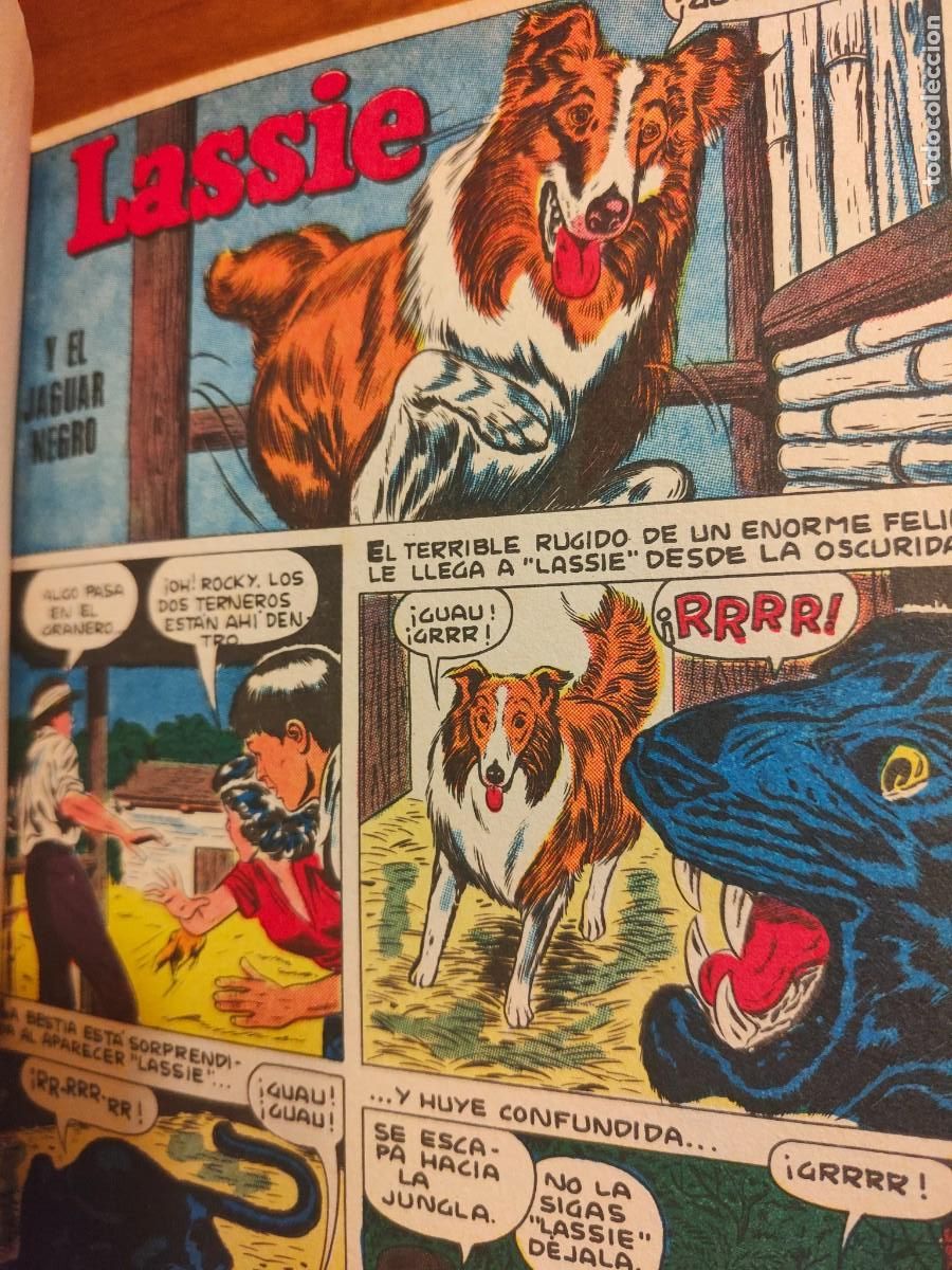 C&oacute;mics: COMICS ENCUADERNADOS: LA PANTERA ROSA, DANIEL BOONE, LASSIE... - Foto 4