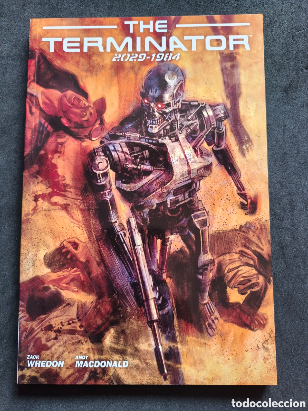 C&oacute;mics: The terminator, 2029-1984