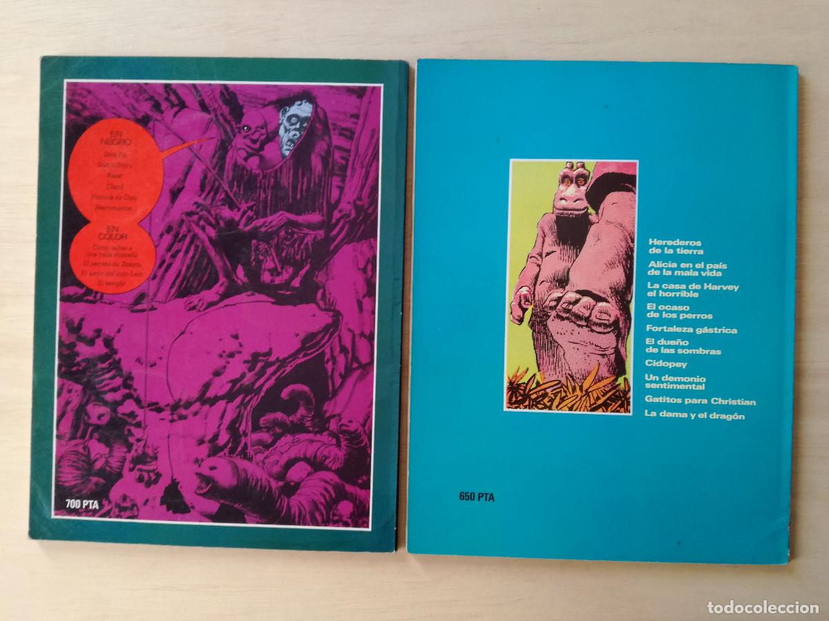 C&oacute;mics: RICHARD CORBEN - OBRAS COMPLETAS 3 y 5 - UNDERGROUND + UNDERGROUND 2 - TOUTAIN - Foto 2