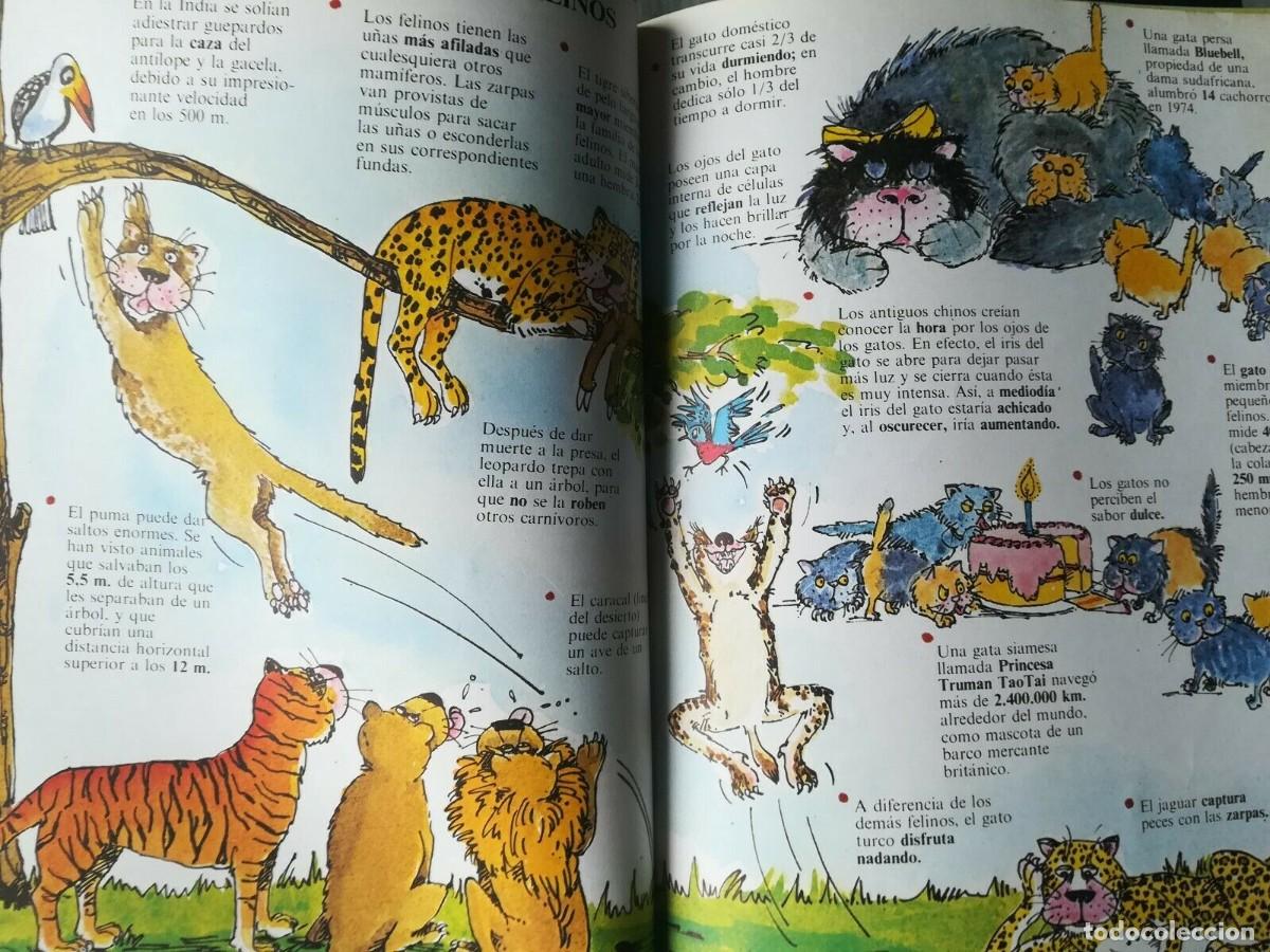 C&oacute;mics: COSAS Y CASOS , Antiguo Libro Comic Divulgativo - Foto 5