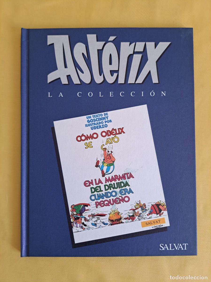 Comics: GOSCINNY Y URDEZO - COMO OBELIX SE CAYO EN LA MARMITA DEL DRUIDA CUANDO ERA PEQUE&Ntilde;O - SALVAT 2004-