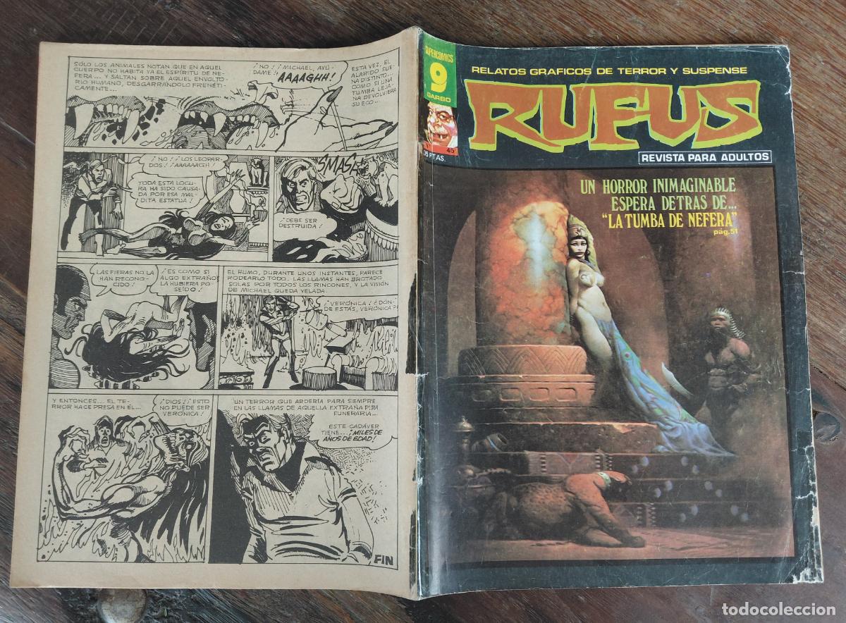 C&oacute;mics: Rufus Garbo N&ordm; 45 Portada de Frank Frazzetta