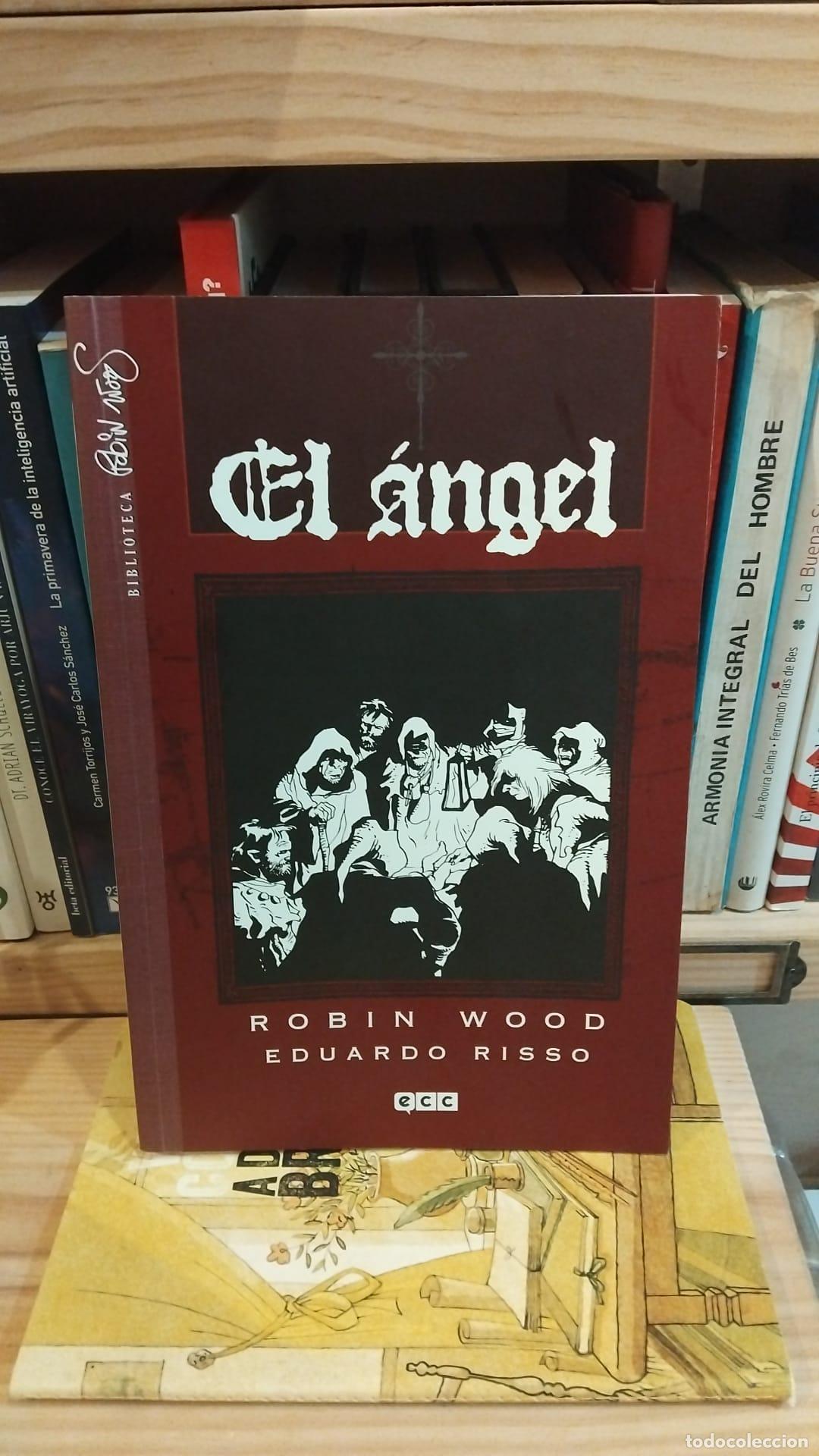 Comics: El &Aacute;ngel. Robin Wood -