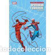 C&oacute;mics: Spiderman y Daredevil - Paul Jenkins, Phil Winslade