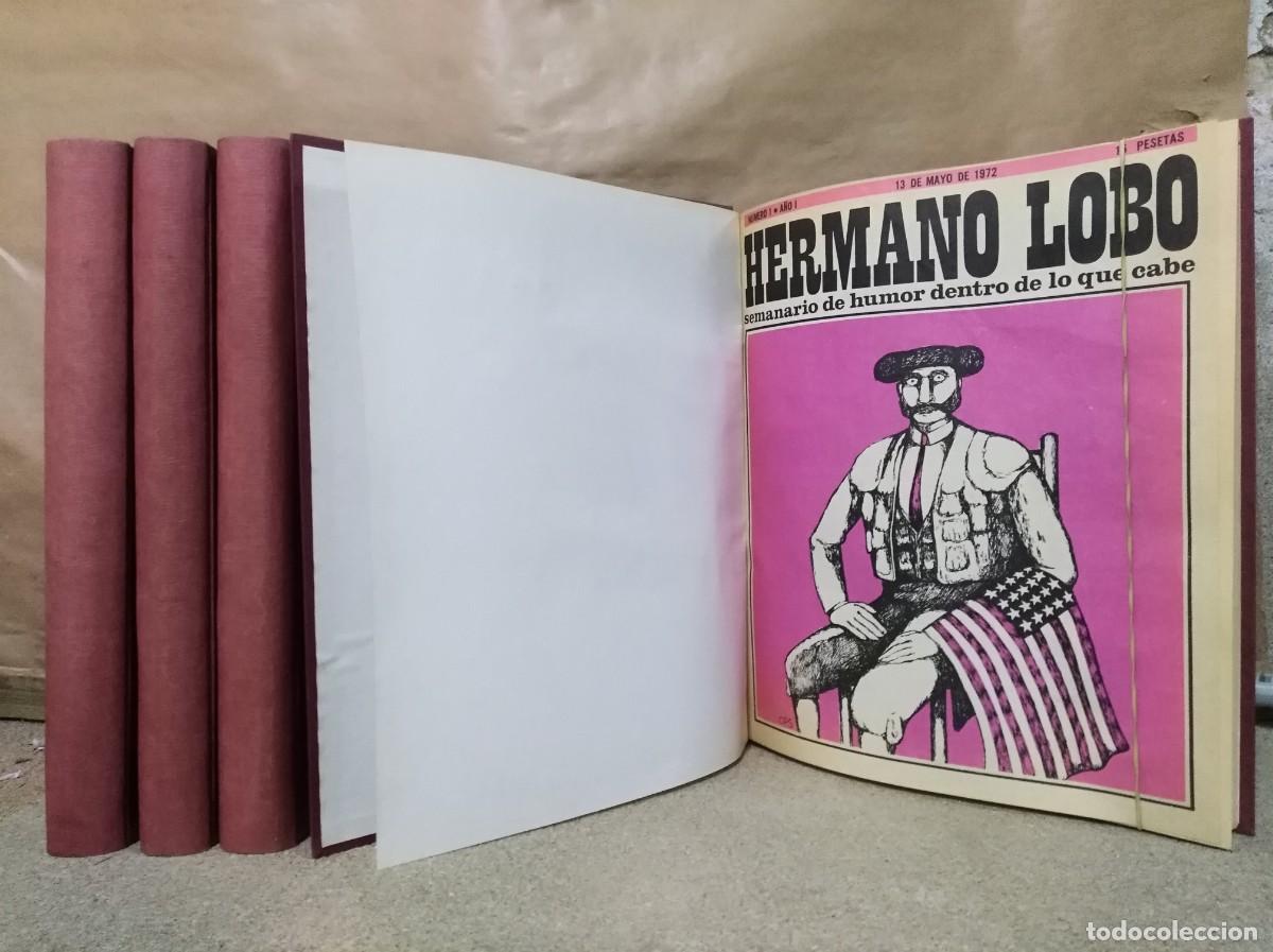 C&oacute;mics: Hermano Lobo 1 al 100 en 4 Tomos