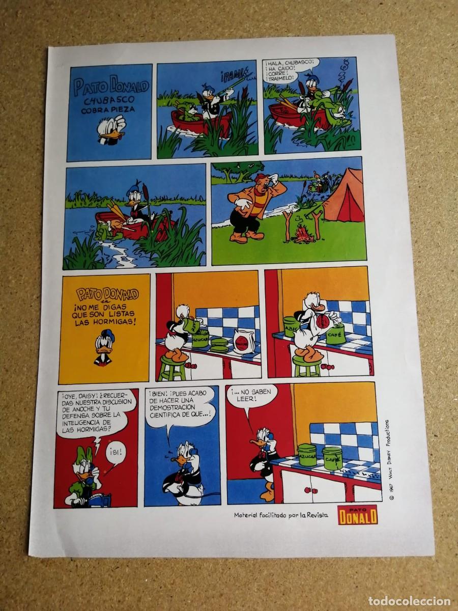 C&oacute;mics: HOJA COMIC. PATO DONALD