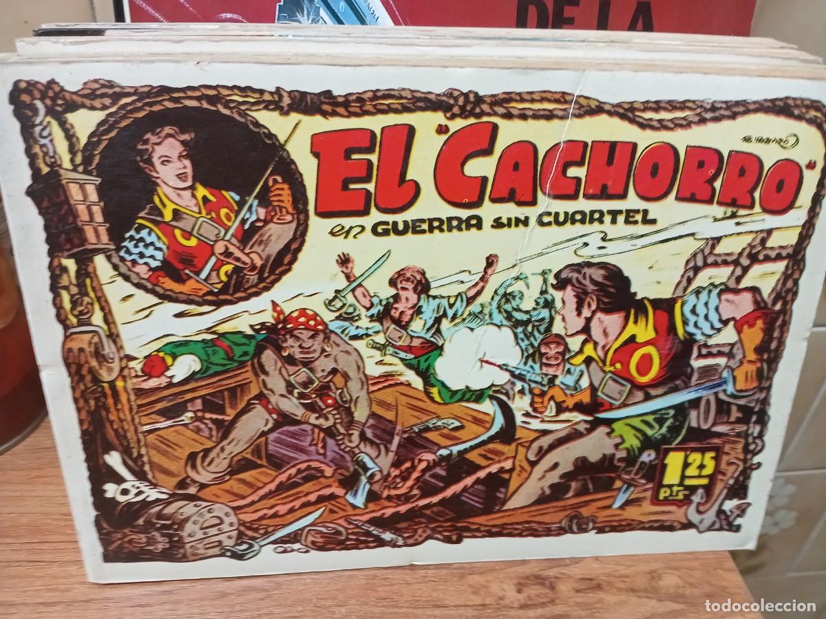 C&oacute;mics: EL CACHORRO - TOMO 7 - IBERCOMIC - Foto 1