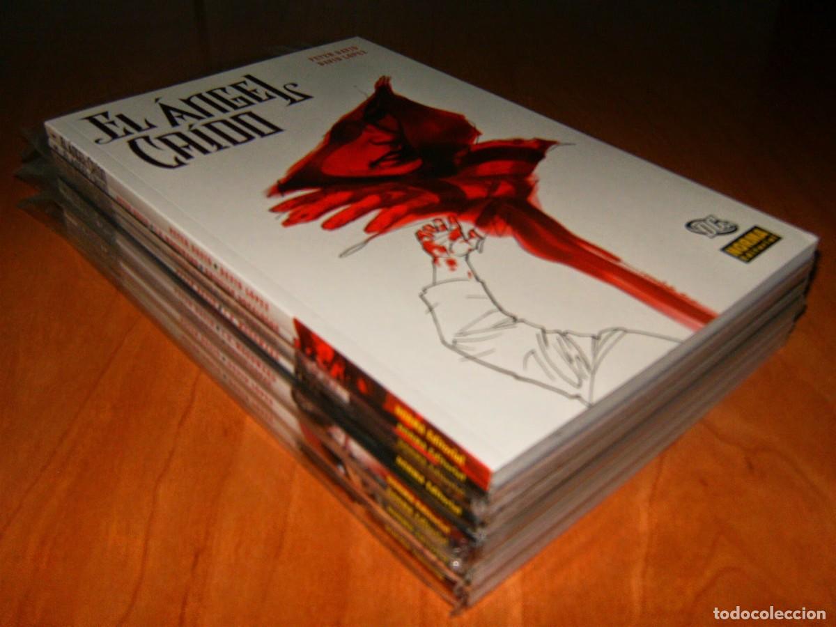 C&oacute;mics: EL ANGEL CAIDO de Peter David TOMOS 1 a 8 LOTE - Foto 2