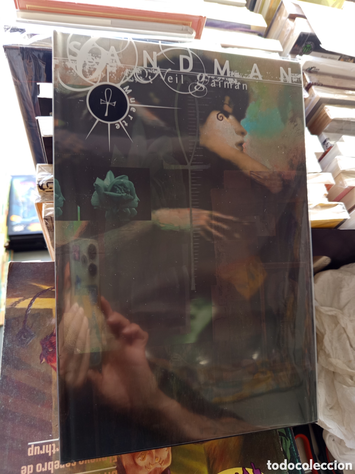 C&oacute;mics: Sandman deluxe N6 Neil Gaiman ECC