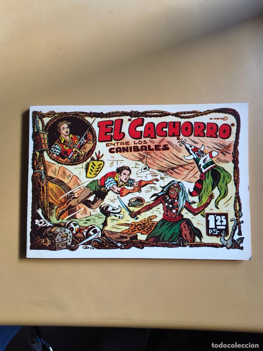Comics : el cachorro, entre los canibales 1985