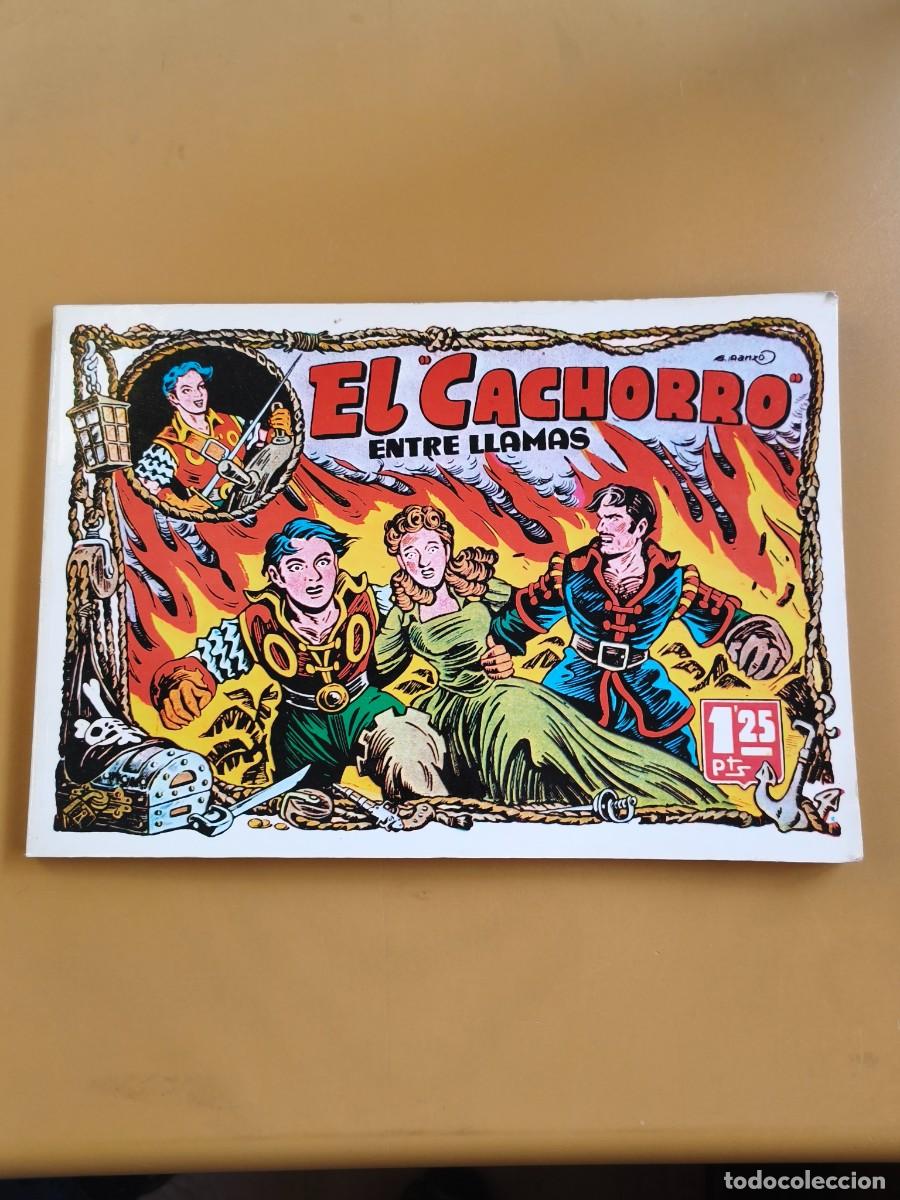 Comics : el cachorro, entre llamas 1985