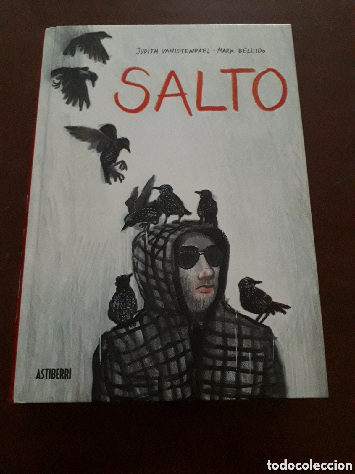 C&oacute;mics: SALTO. 366 P&Aacute;GINAS. TOMO ED ASTIBERRI. MUY BUEN ESTADO