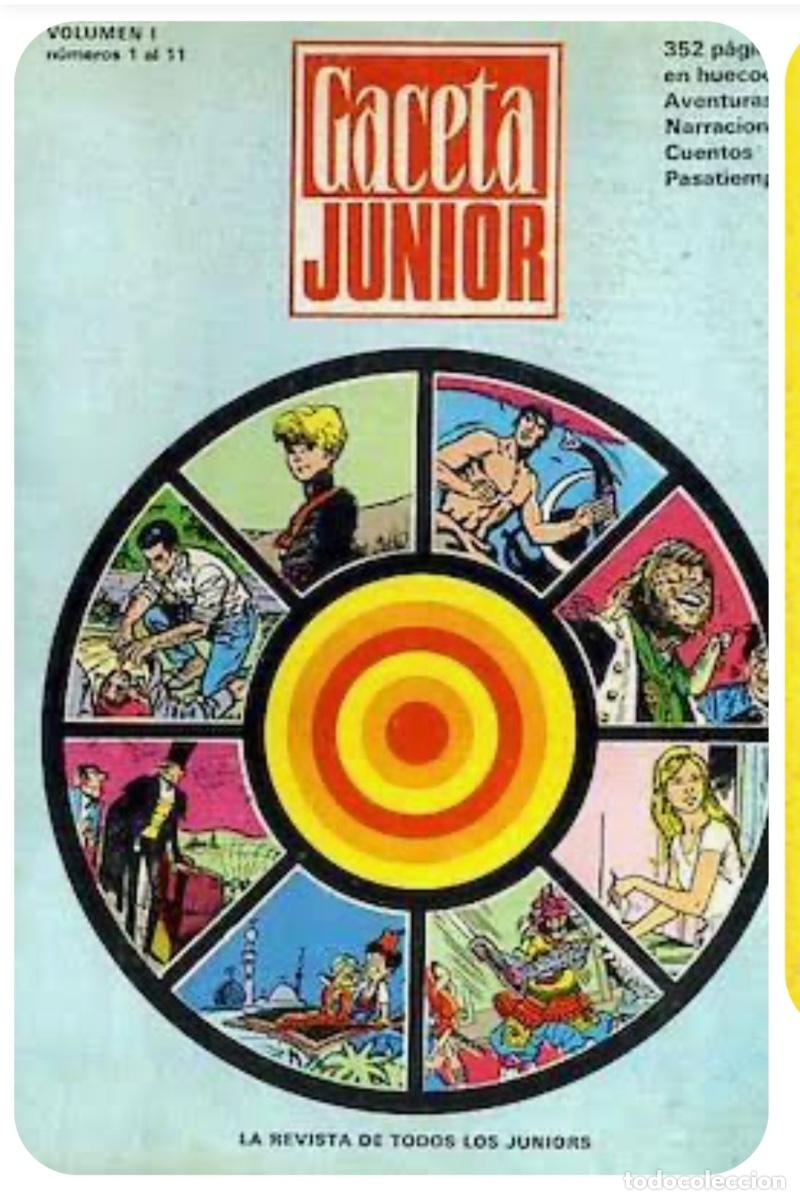 C&oacute;mics: Coleccion completa gaceta junior 83 ejemplares