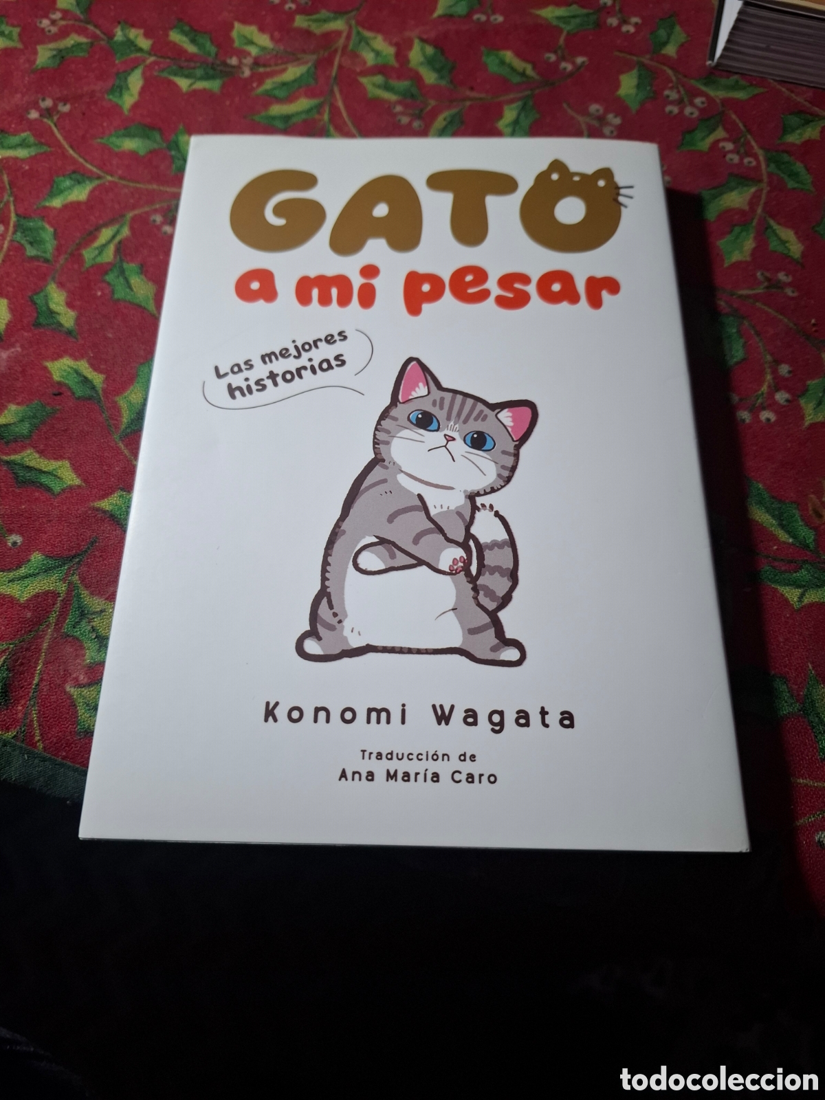 C&oacute;mics: Gato A Mi Pesar. Konomi Wagata