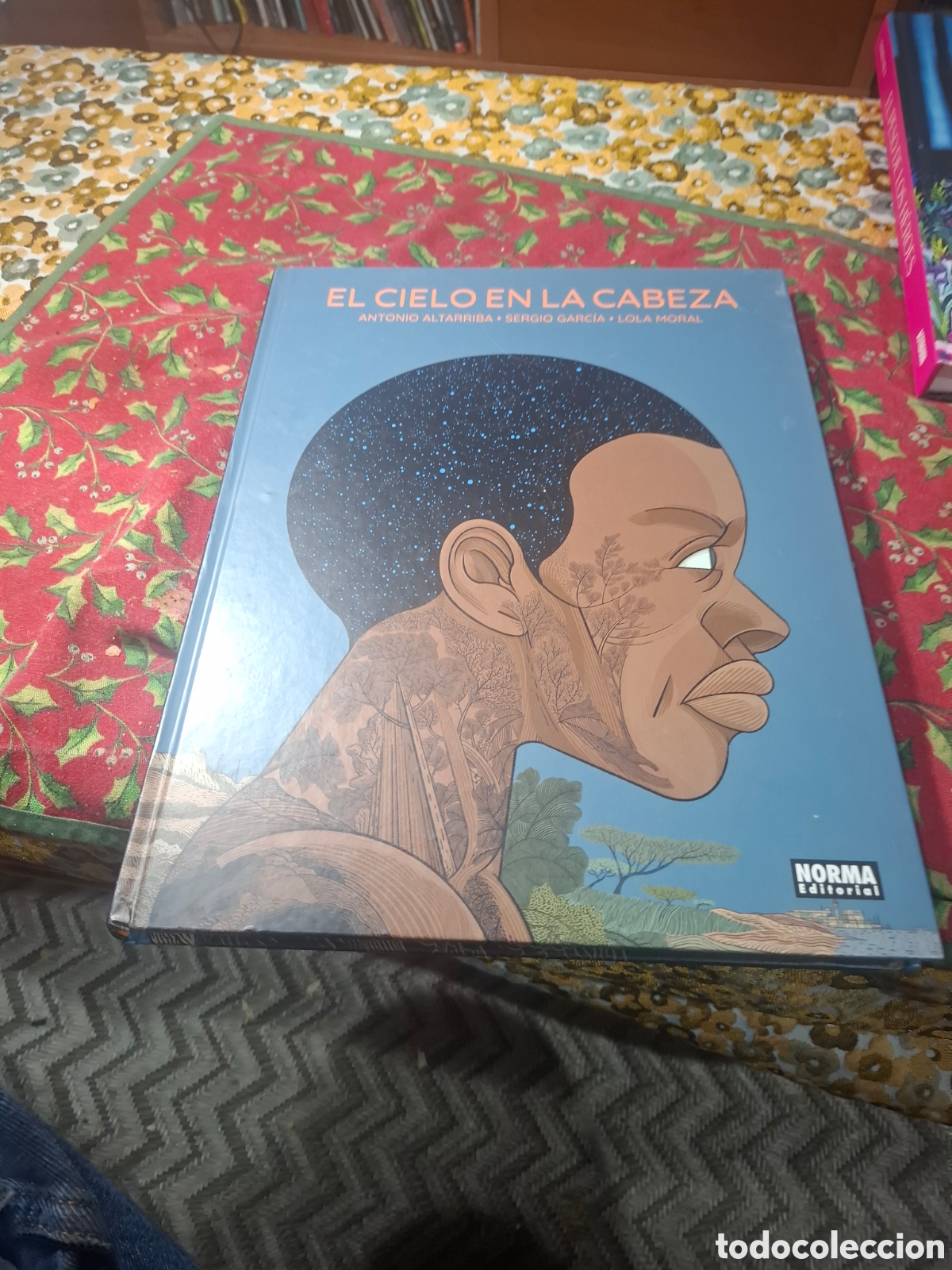 C&oacute;mics: El Cielo En La Cabeza Antonio Altarriba ed Norma Tapa Dura
