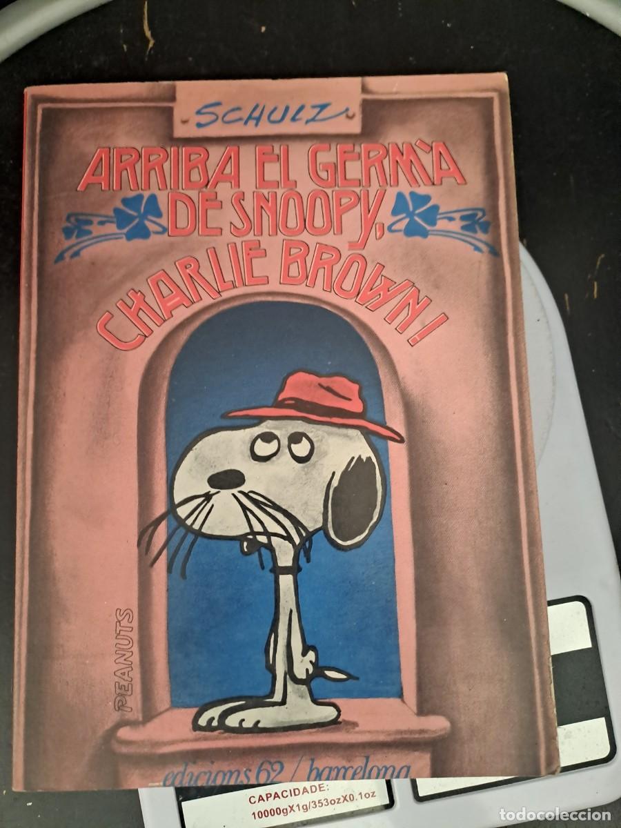 C&oacute;mics: Charlie Brown 21, arriba el germa de Snoopy, edicions 62 en buen estado Bolsa DA