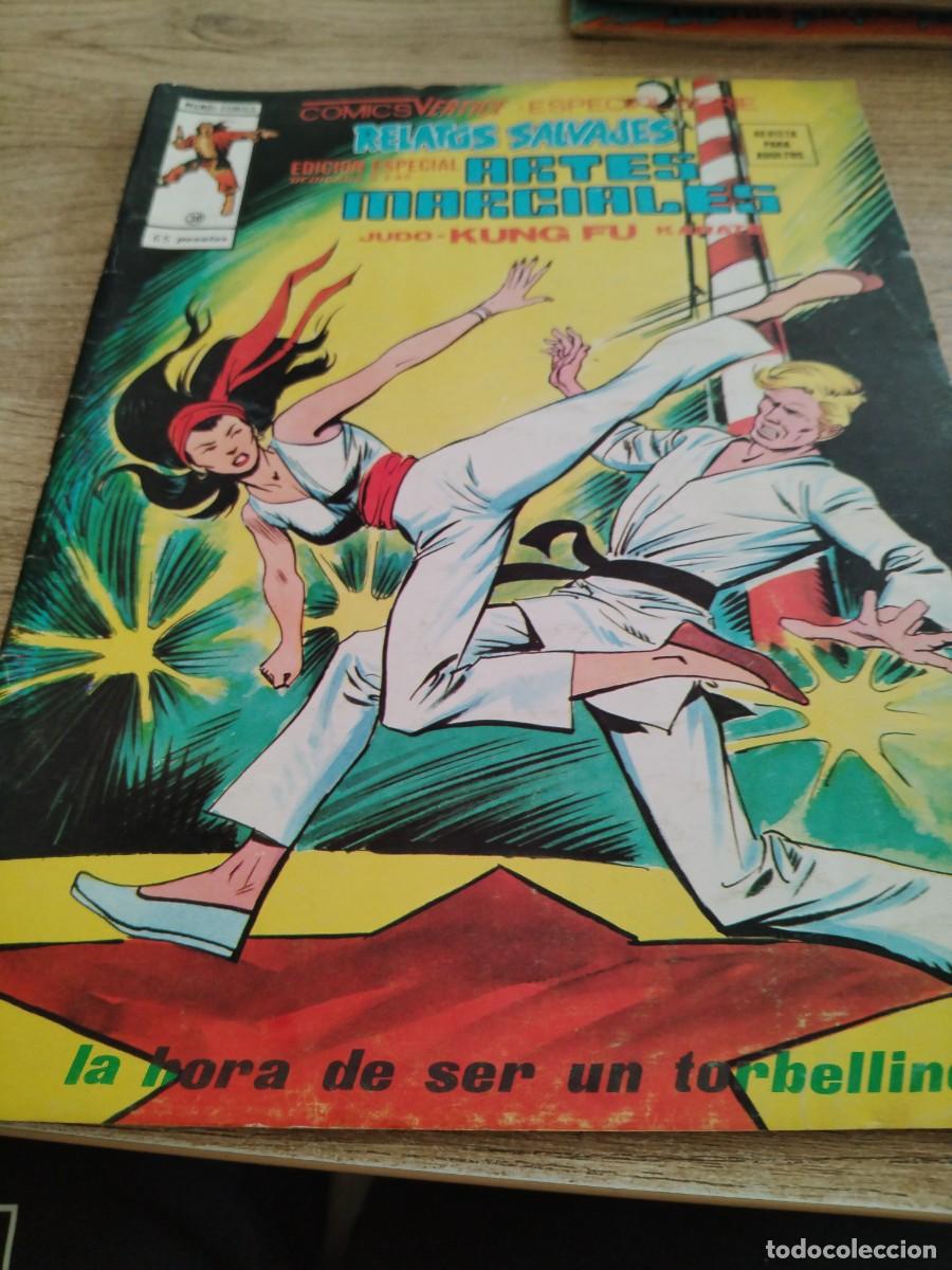 C&oacute;mics: VERTICE RELATOS SALVAJES ARTES MARCIALES N 38