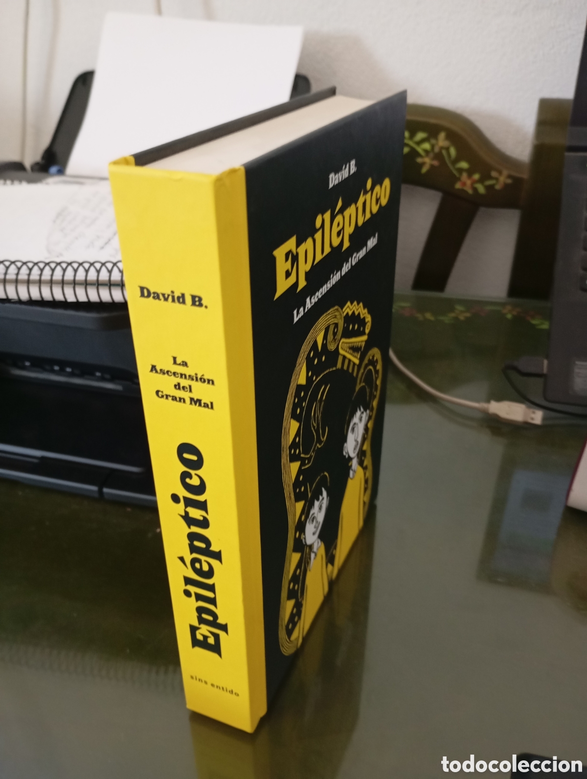C&oacute;mics: EPIL&Eacute;PTICO La ascensi&oacute;n del Gran Mal - DAVID B. - Foto 2