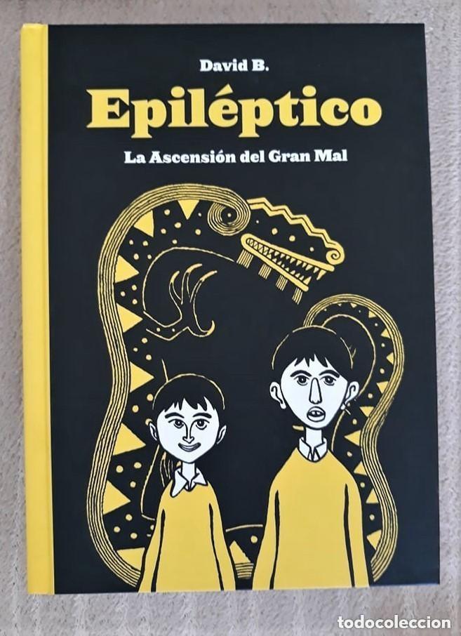 C&oacute;mics: EPIL&Eacute;PTICO La ascensi&oacute;n del Gran Mal - DAVID B.