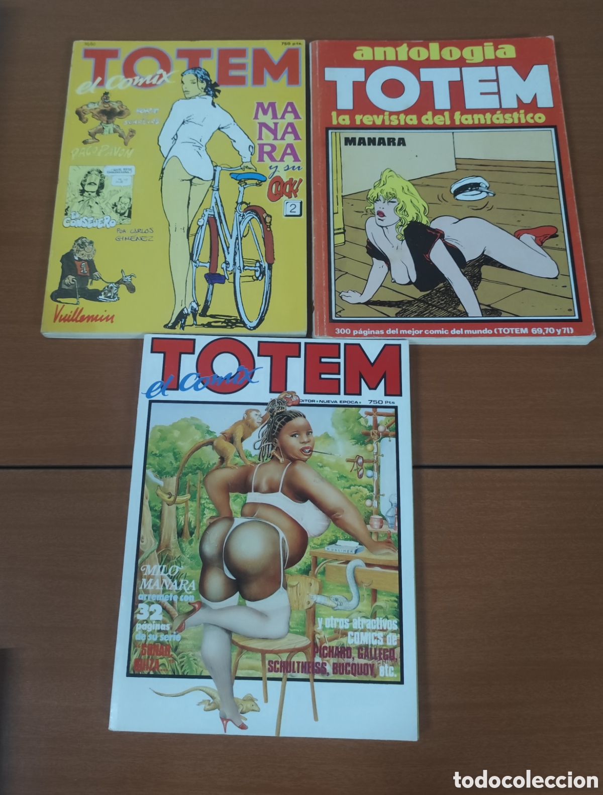 C&oacute;mics: Lote tres comics t&oacute;tem