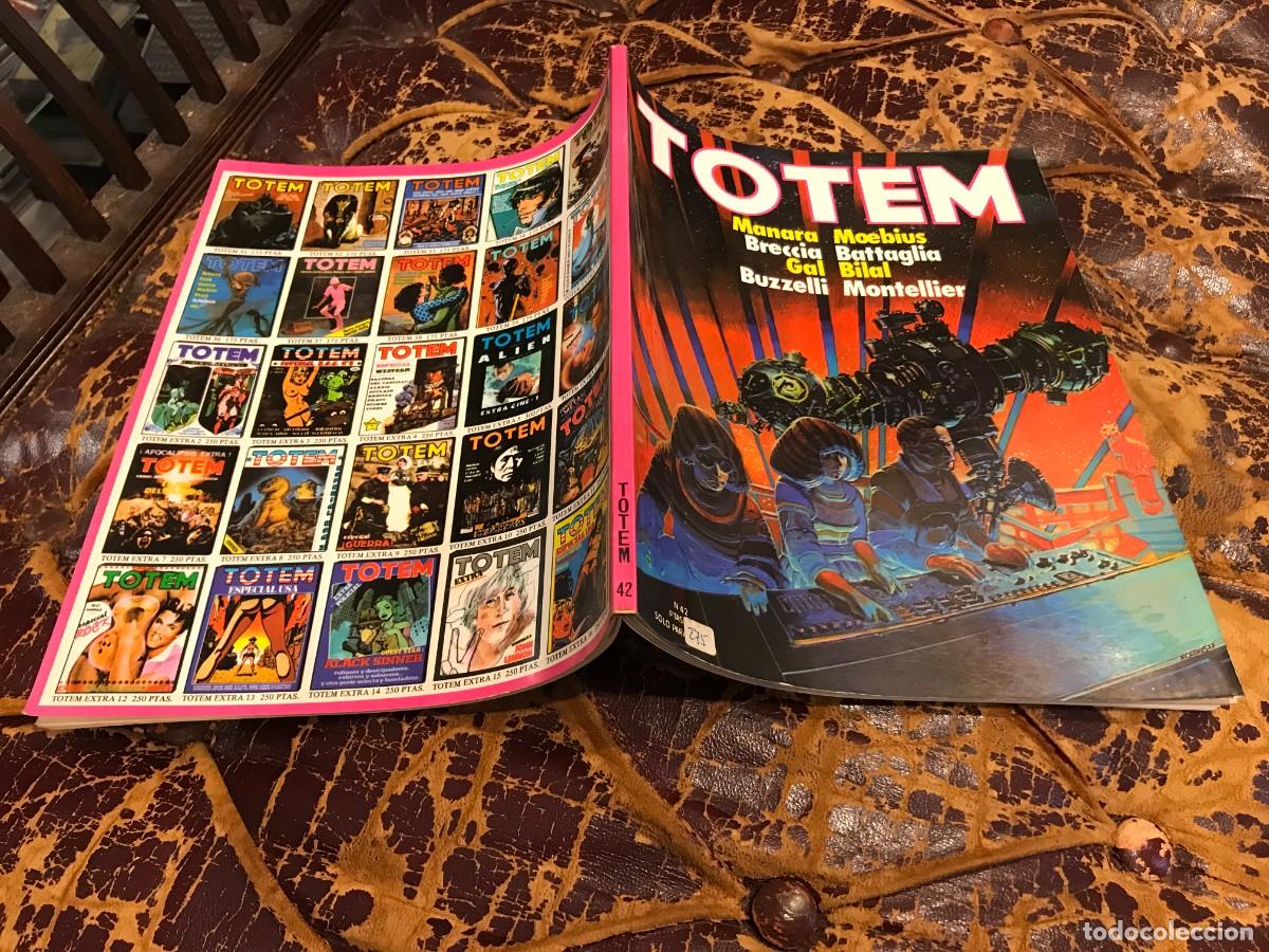 C&oacute;mics: C&Oacute;MIC. TOTEM. C&Oacute;MIC. N&ordm; 42