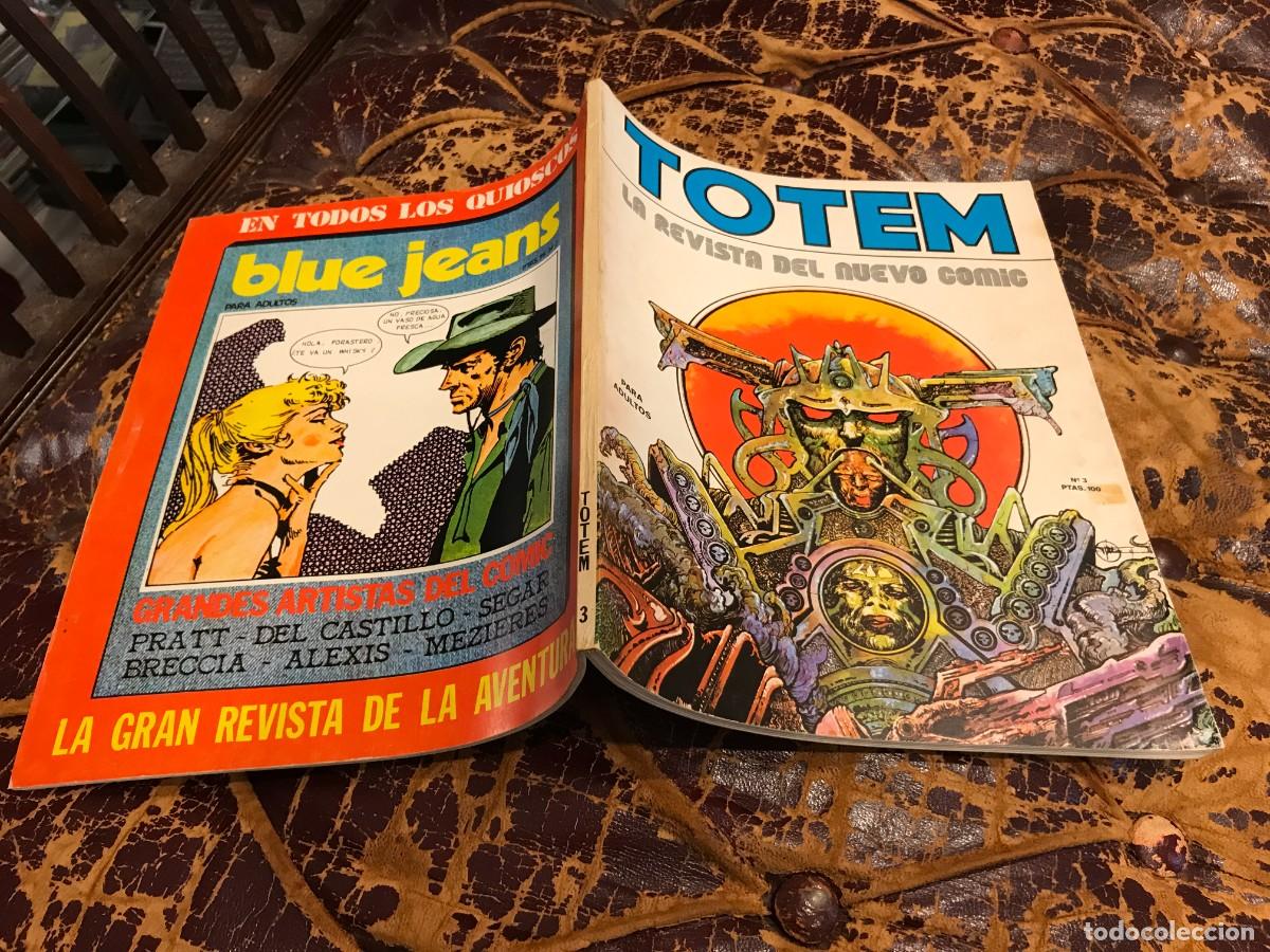 C&oacute;mics: C&Oacute;MIC. TOTEM. C&Oacute;MIC. N&ordm; 3
