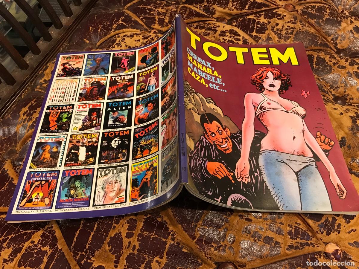 C&oacute;mics: C&Oacute;MIC. TOTEM. C&Oacute;MIC. N&ordm; 43