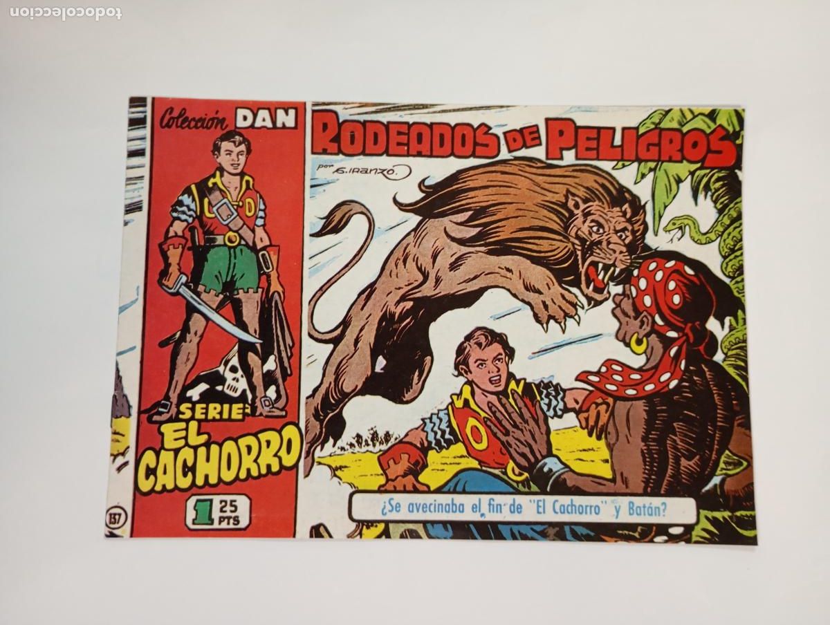 C&oacute;mics: REDEADOS DE PELIGROS. COLECCI&Oacute;N DAN. N&ordm; 137. SERIE EL CACHORRO. TDKR95