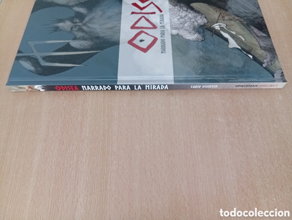 C&oacute;mics: ODISEA. NARRADO PARA LA MIRADA. Fabio Visintin - Foto 4