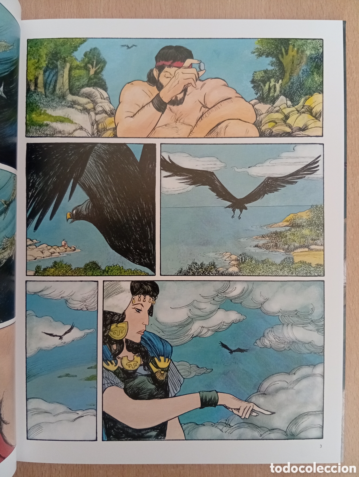 C&oacute;mics: ODISEA. NARRADO PARA LA MIRADA. Fabio Visintin - Foto 6