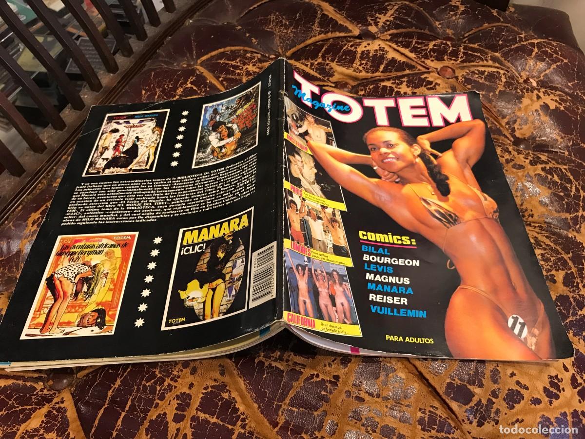 C&oacute;mics: C&Oacute;MIC. TOTEM. C&Oacute;MIC. N&ordm; 67