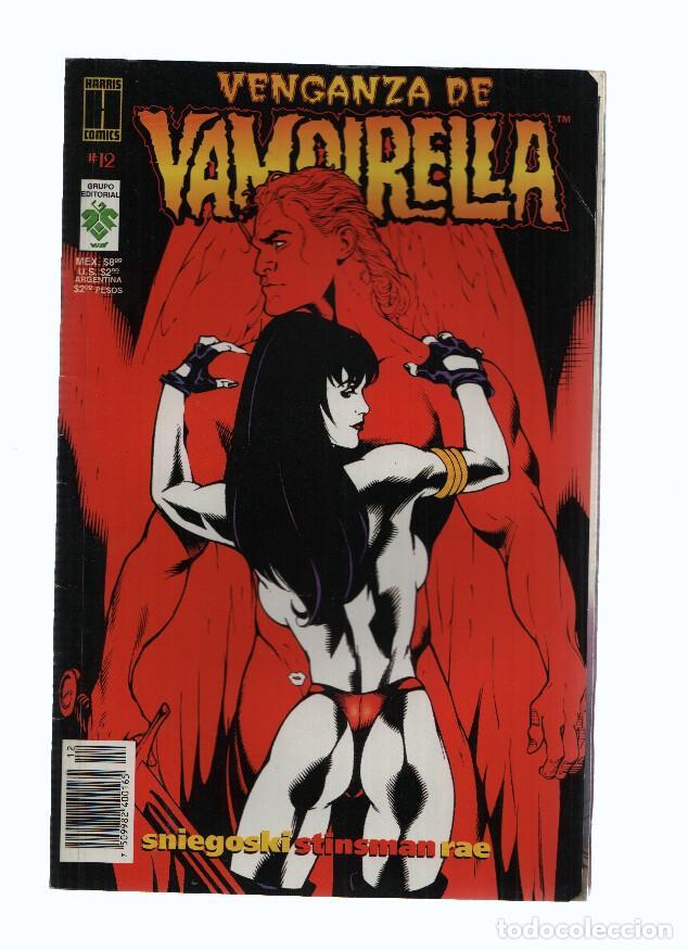 Comics: VID: Vampirella, Volumen 1, Numero 12: El Mal desde la Cabeza de un Alfiler - Kurt Busiek
