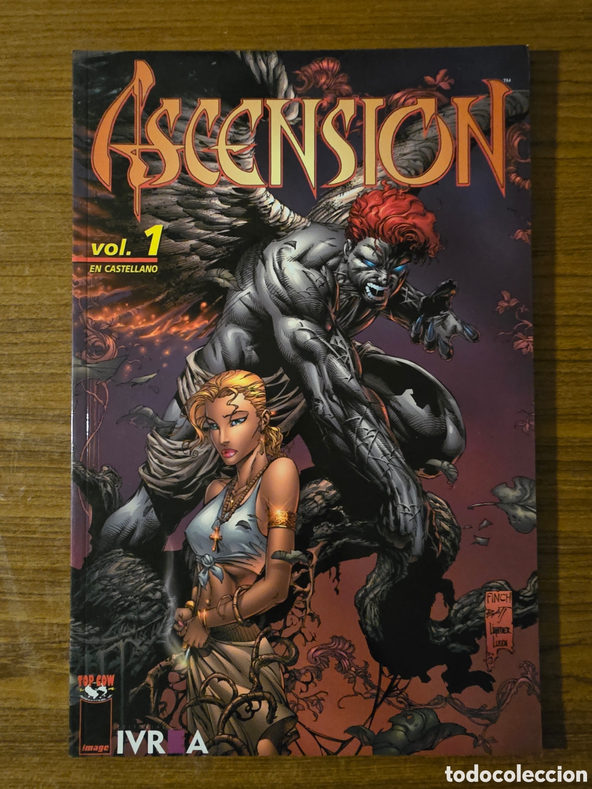 C&oacute;mics: ASCENSION,VOL 1,(TOP COW-IMAGE)