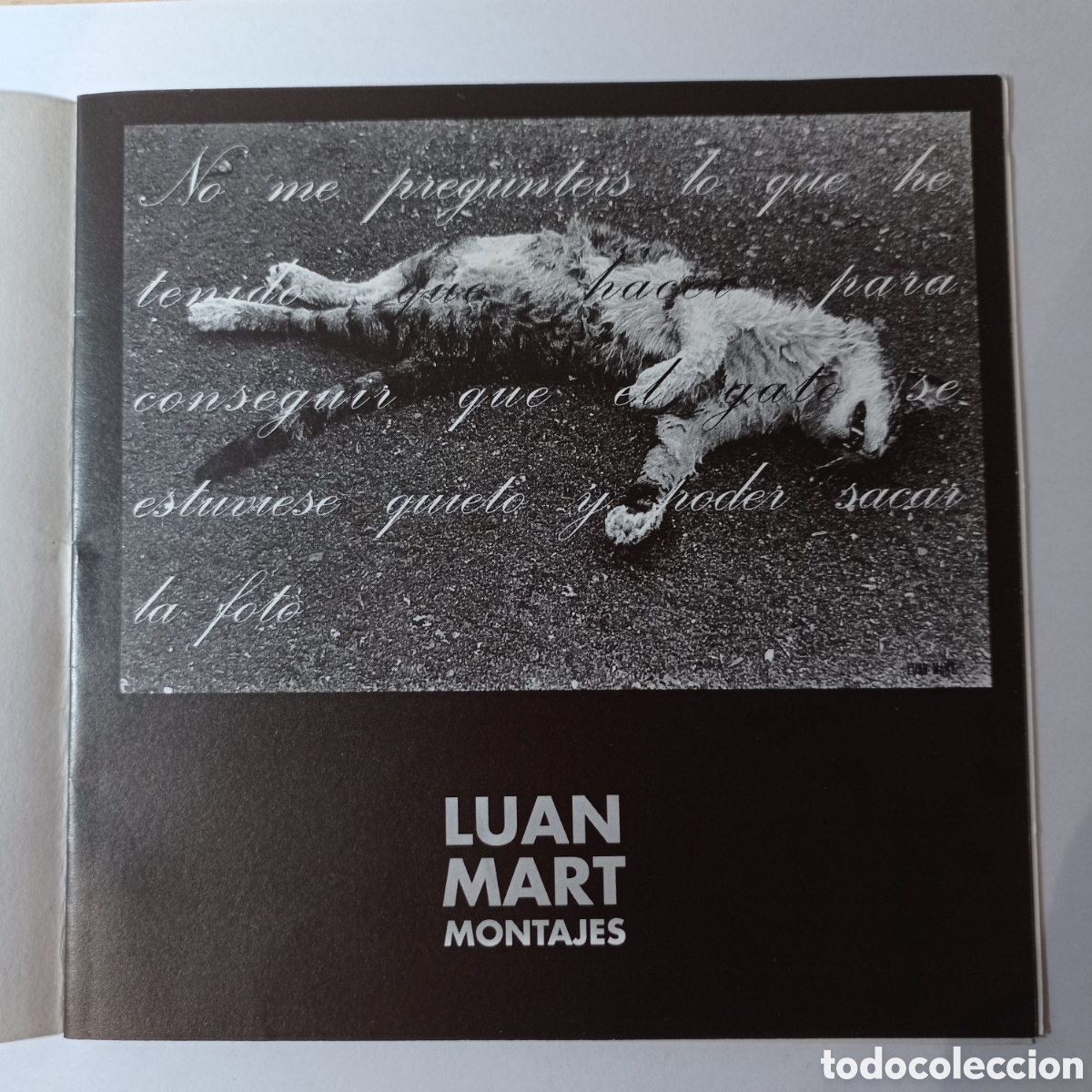 C&oacute;mics: LUAN MART, MONTAJES. MONO GRAFICO