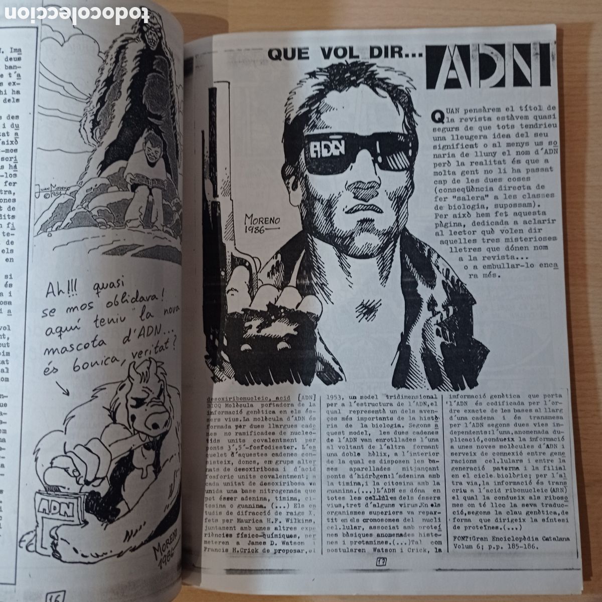 C&oacute;mics: FORMENTERA. ADN, N.2 - EN CATAL&Agrave; - - Foto 5