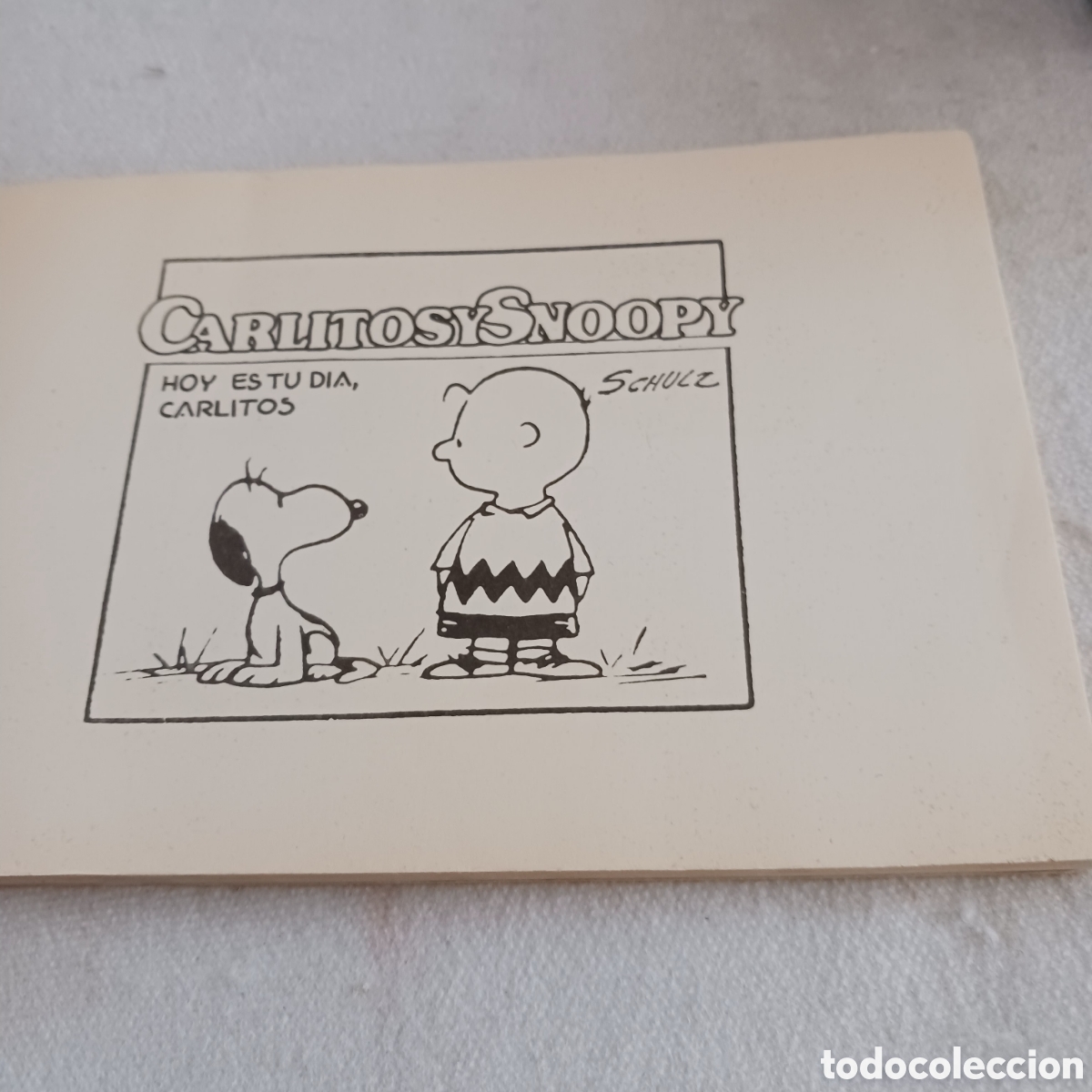 C&oacute;mics: Hoy es tu d&iacute;a Carlitos de Schulz - Foto 11
