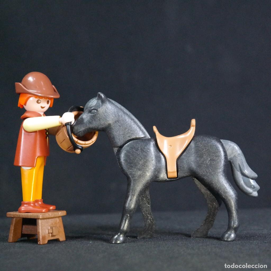 C&oacute;mics: Playmobil cuidador de caballo ☼
