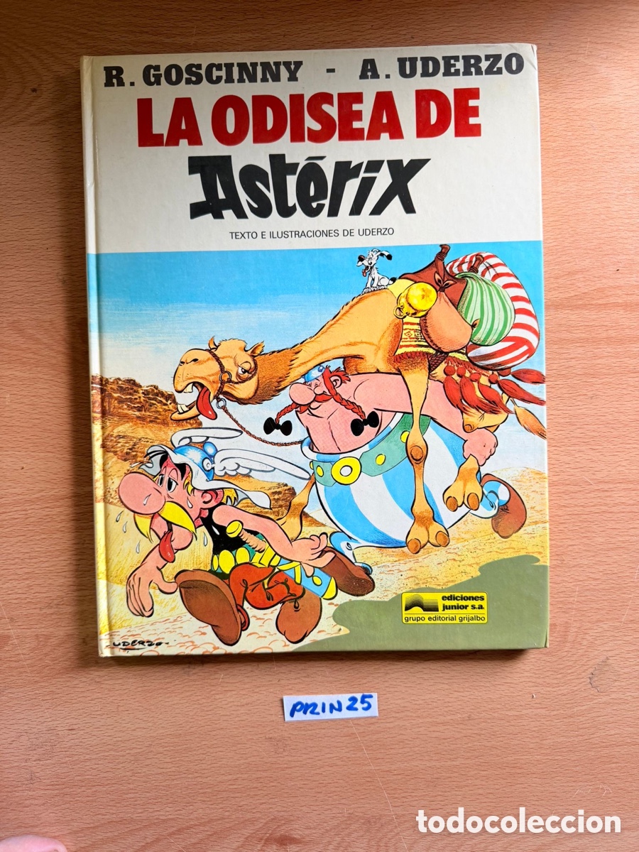 C&oacute;mics: Libro la odisea de asterix