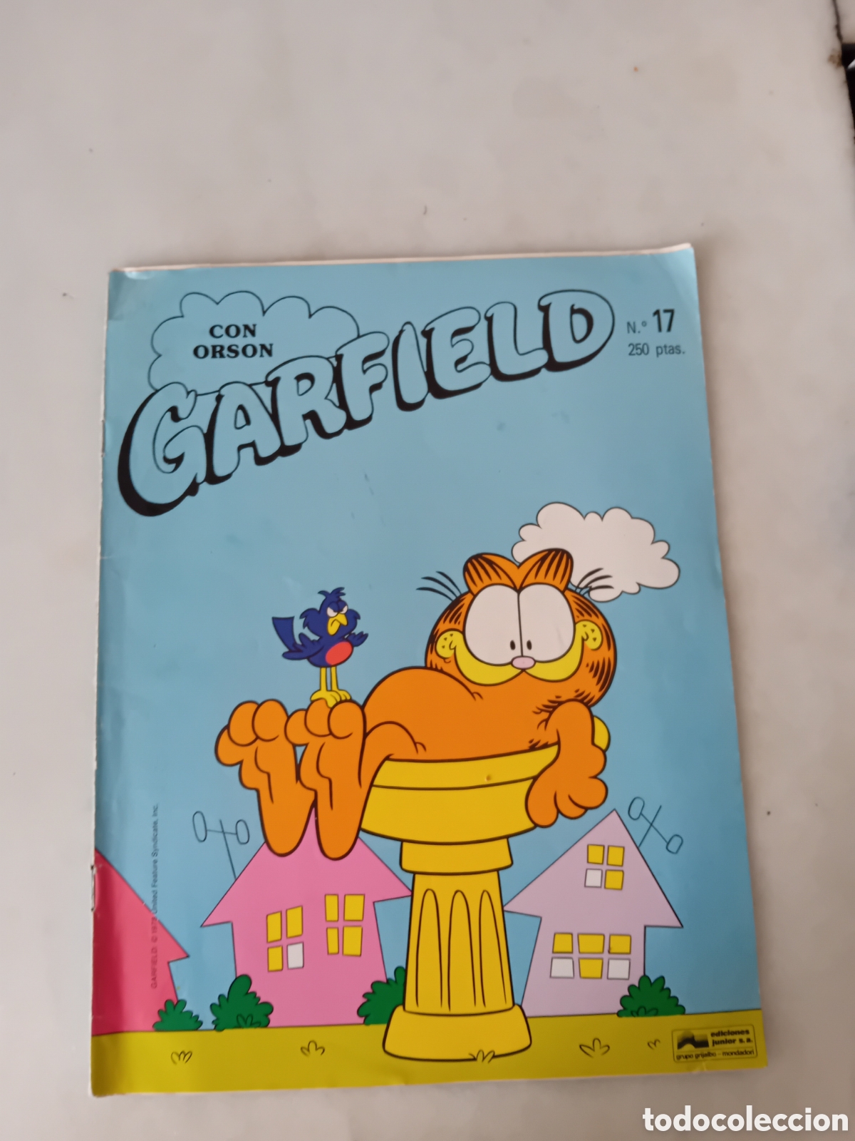 C&oacute;mics: GARFIELD. Con Orson.1991.n&deg; 17