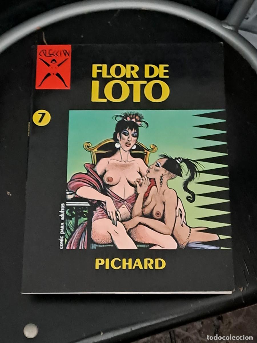 C&oacute;mics: Colecci&oacute;n X 7, flor de loto, La C&uacute;pula en perfecto estado Bolsa DA