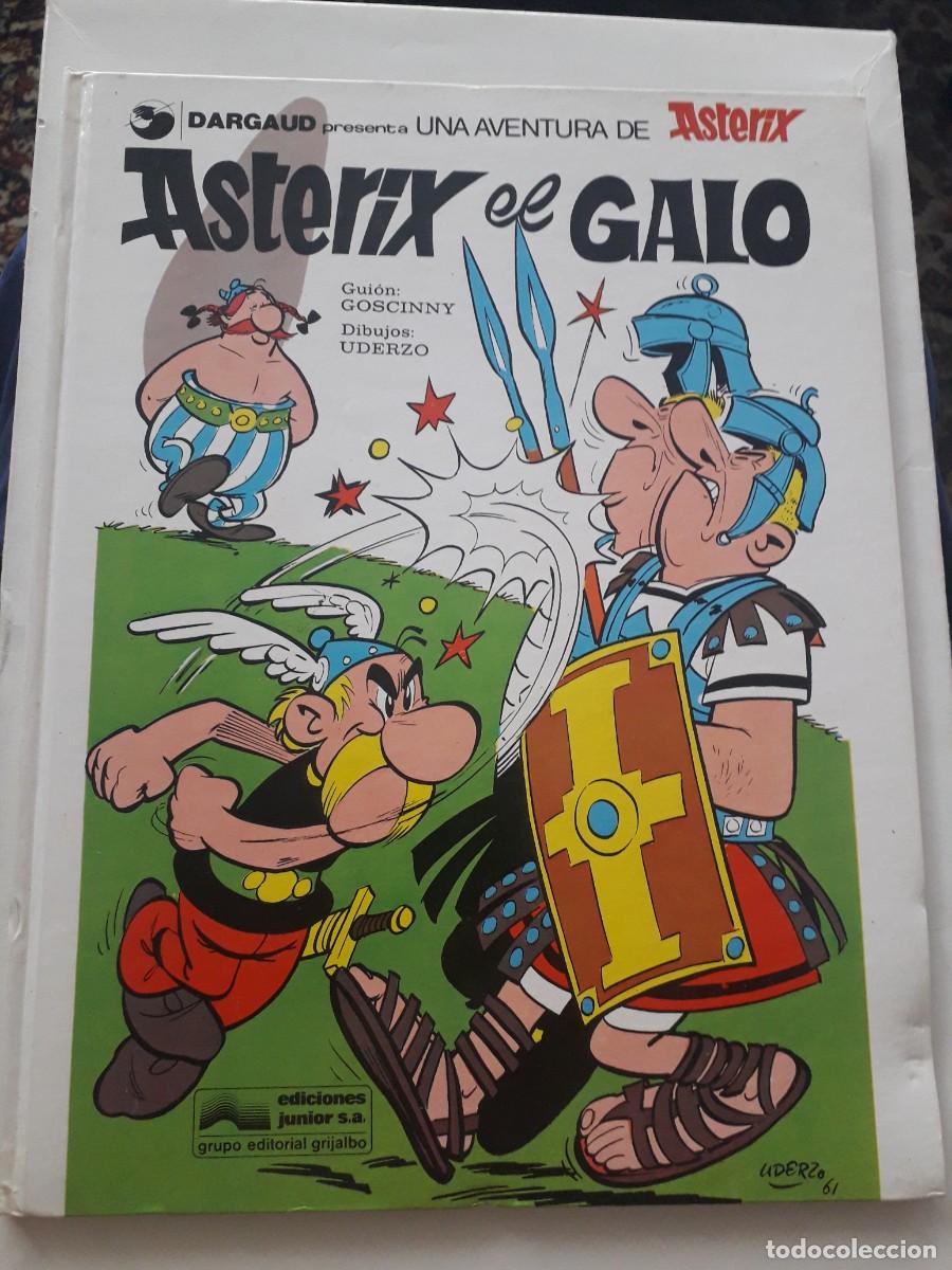 C&oacute;mics: Tomos de pasta dura de Axterix 5 ud. Diversas ediciones y a&ntilde;os.